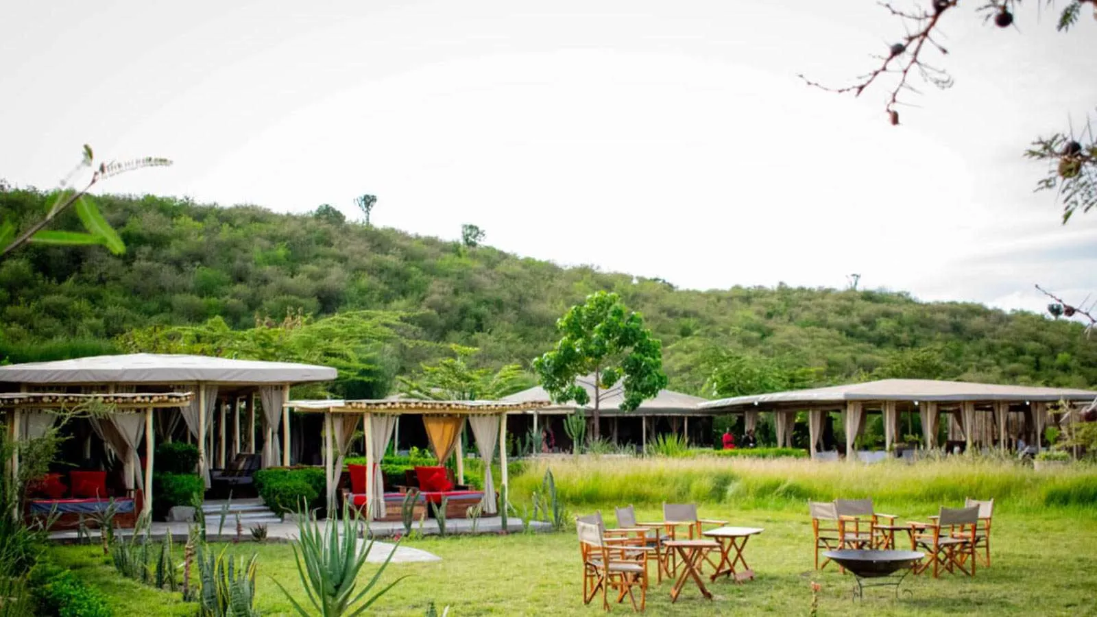 Zebra Plains Mara Camp